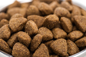 close up view of fresh dry pet food