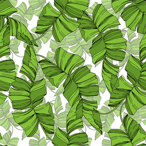 vector exotic tropical hawaiian summer. palm beach tree leaves jungle botanical plant.  and white engraved ink art. seamless background pattern. fabric wallpaper  texture.