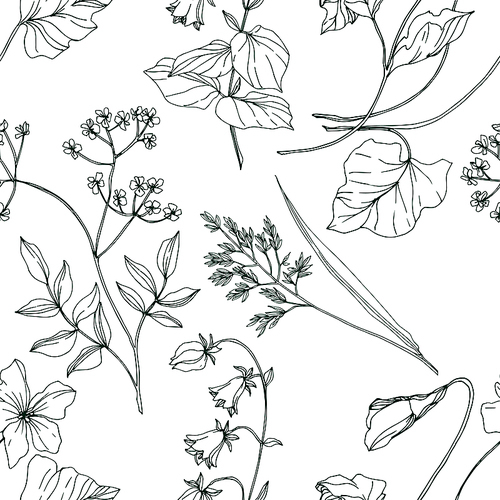 Vector Wildflowers floral botanical flowers. Wild spring leaf wildflower isolated. Black and white engraved ink art. Seamless background pattern. Fabric wallpaper  texture.