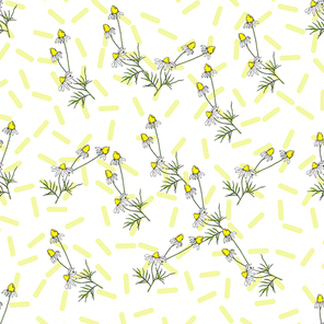 vector wildflowers floral botanical flowers. wild spring leaf wildflower isolated.  and white engraved ink art. seamless background pattern. fabric wallpaper  texture.