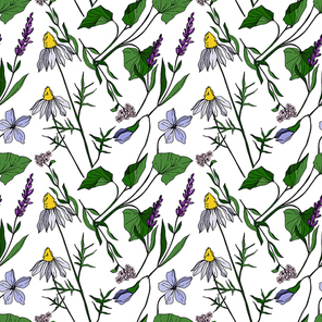 vector wildflower floral botanical flowers. wild spring leaf wildflower isolated.  and white engraved ink art. seamless background pattern. fabric wallpaper  texture.