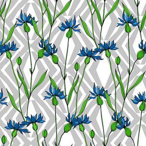 vector wildflowers floral botanical flowers. wild spring leaf wildflower isolated.  and white engraved ink art. seamless background pattern. fabric wallpaper  texture.