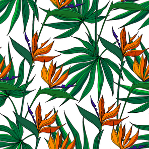 vector tropical floral botanical flowers. wild spring leaf wildflower isolated.  and white engraved ink art. seamless background pattern. fabric wallpaper  texture.