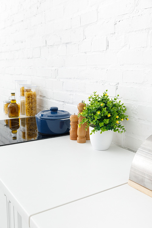 modern white kitchen interior with pot on electric induction cooktop near plant and food containers near brick wall