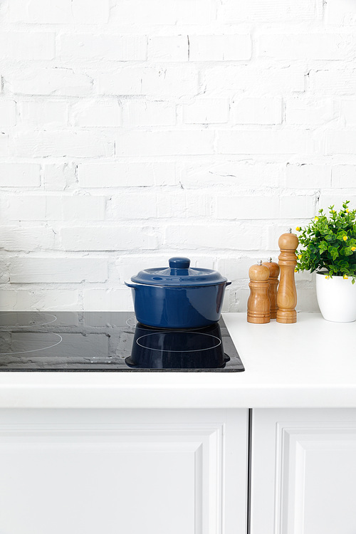modern white kitchen interior with pot on electric induction cooktop near plant near brick wall