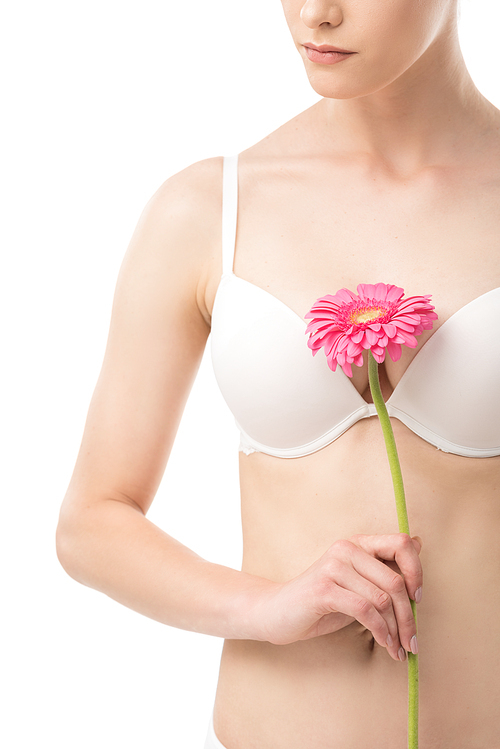 cropped view of woman in underwear holding flower isolated on white