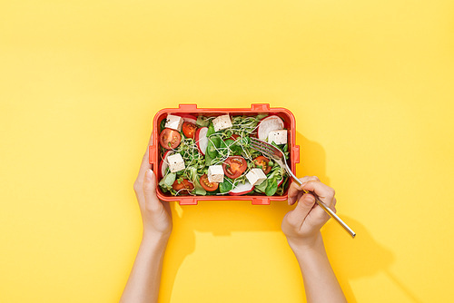 cropped view of woman holding fork and lunch box with salad in hands