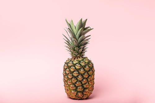 fresh tasty and raw pineapple with green leaves on pink