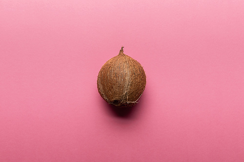 top view of whole coconut on pink background