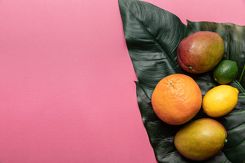 top view of whole ripe tropical citrus fruits and mango on green leaves on pink background with copy space