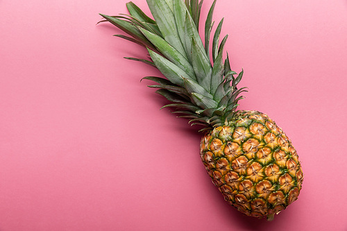 top view of whole ripe tropical pineapple on pink background with copy space