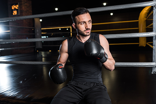 handsome bearded man in black boxing gloves in gym