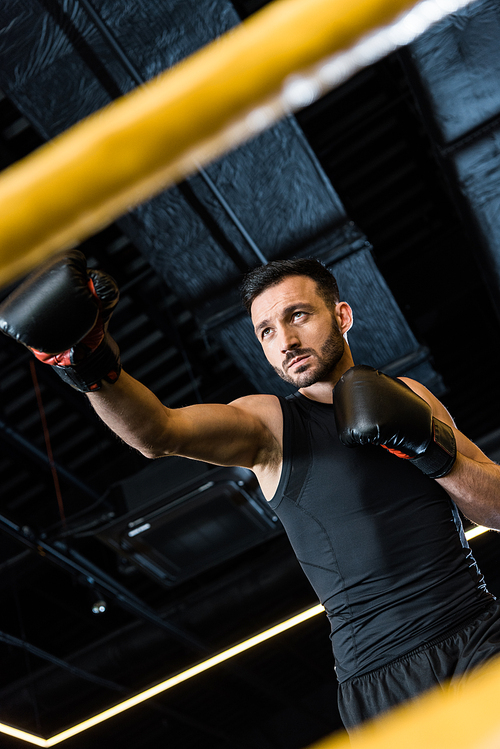 low angle view of handsome athletic man exercising in boxing gloves
