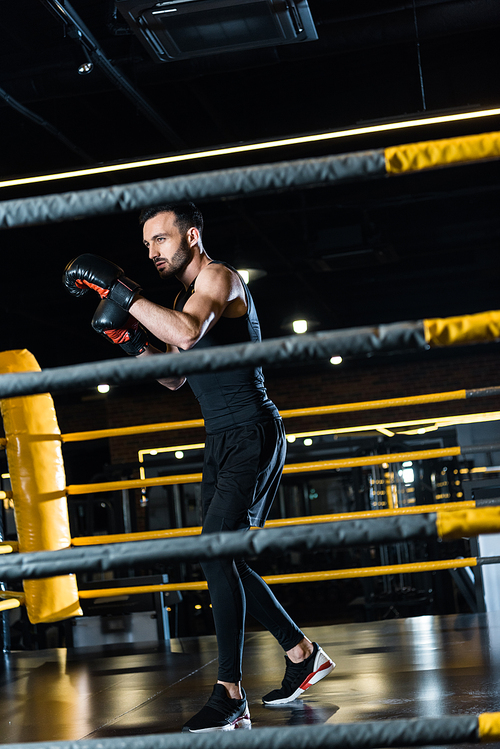 selective focus of handsome man working out in boxing gloves while standing in boxing ring