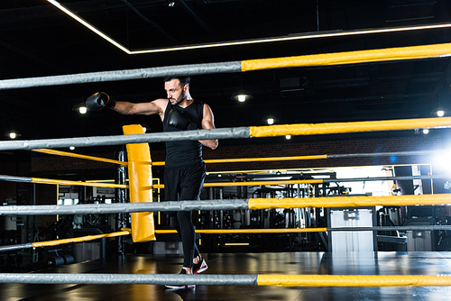 selective focus of handsome man exercising in boxing gloves while standing in boxing ring