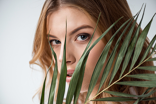 attractive girl  through palm leaf on white