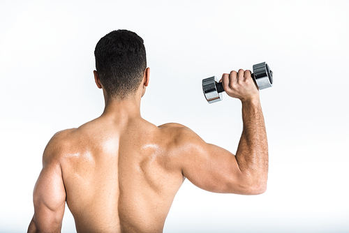 back view of sportive man with muscular torso holding dumbbell on white