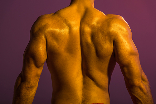 back view of shirtless athletic man with muscular torso on purple background