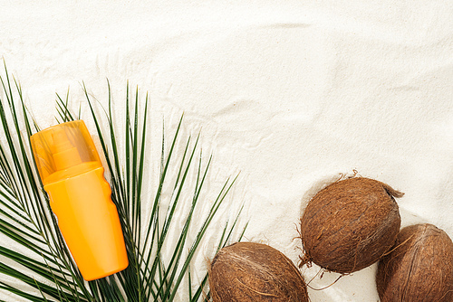 top view of palm leaves, coconuts and sunscreen on sand