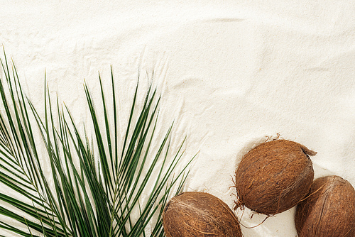 top view of whole coconuts and green palm leaves on golden sand