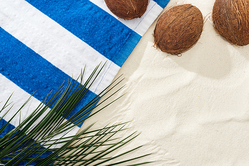 top view of palm leaves, coconuts and striped towel on sand