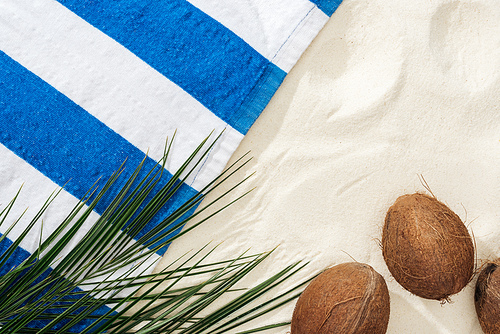 green palm leaves, coconuts and striped towel on sand