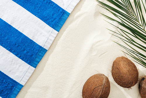 top view of palm leaf, coconuts and striped towel on sand