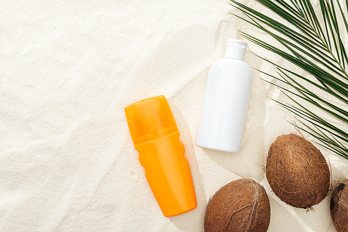 top view of palm leaf, coconuts and sunscreen products on sand