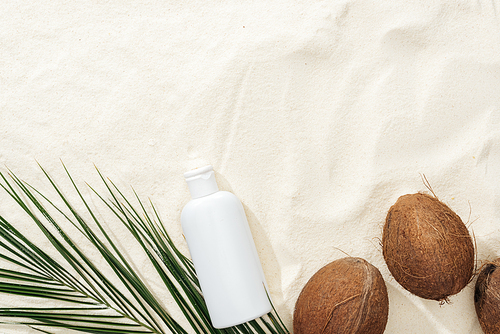 top view of palm leaf, coconuts and sunscreen lotion on sand