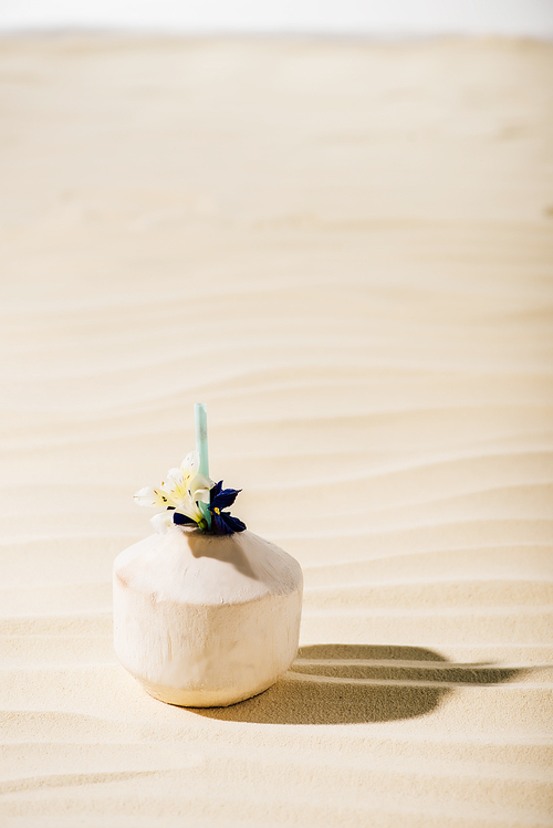 coconut cocktail with flower on sandy beach with copy space
