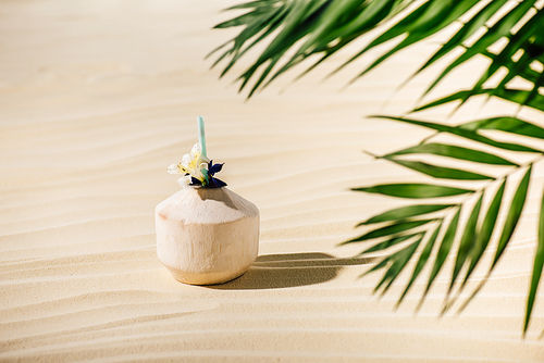 selective focus of coconut cocktail with flower and palm leaves on beach