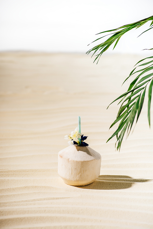 coconut cocktail with flower and palm leaves on beach