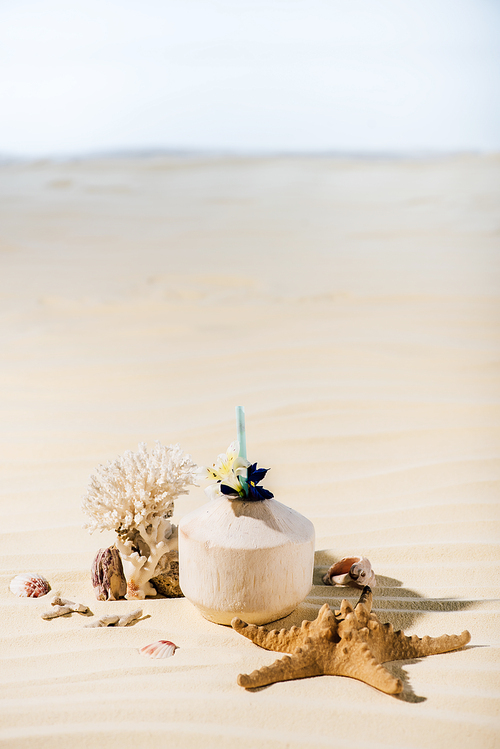 coconut cocktail, starfish, coral and sea stones on sandy beach with copy space