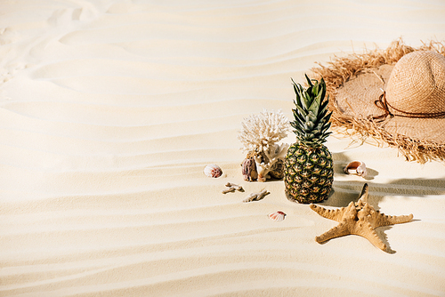 pineapple, Straw Hat, starfish, coral and sea stones on beach with copy space