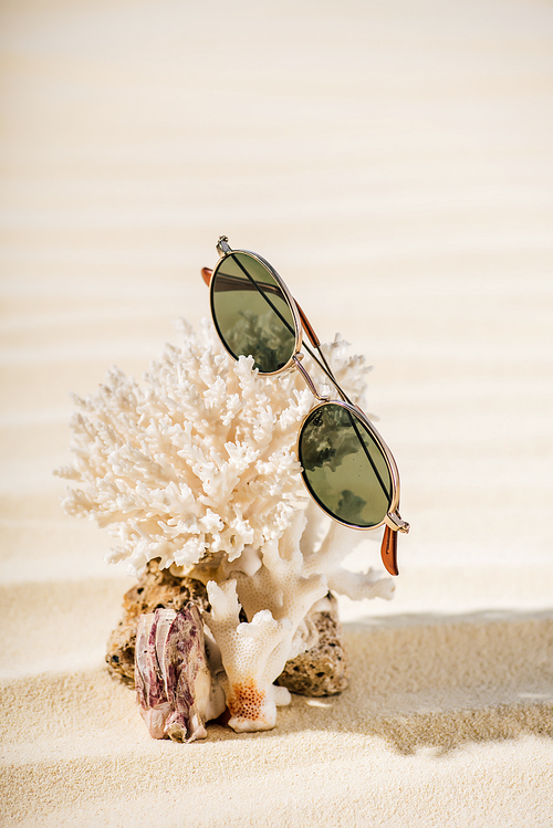 natural coral with sunglasses on beige sandy beach