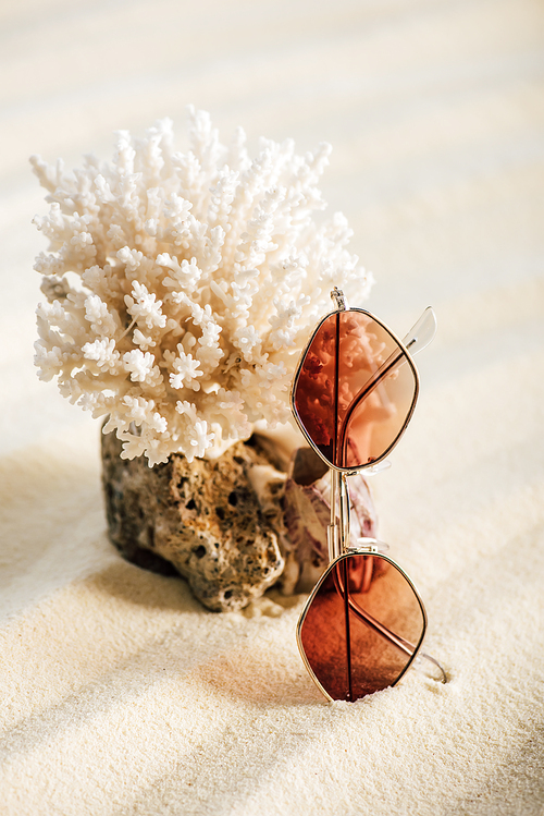 natural white coral with sunglasses on sandy beach