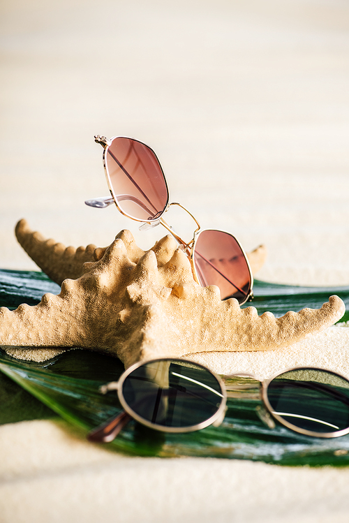 selective focus of sunglasses, green leaves and starfish on beach