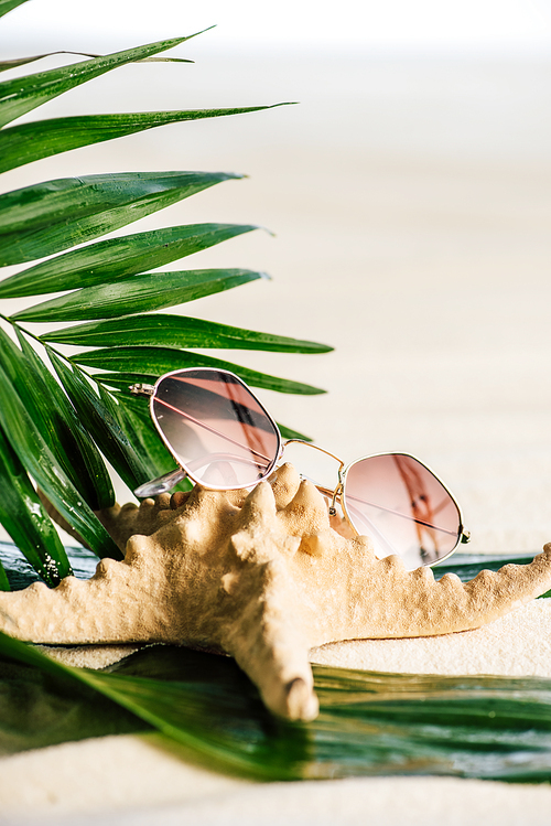 sunglasses, palm leaves and starfish on white