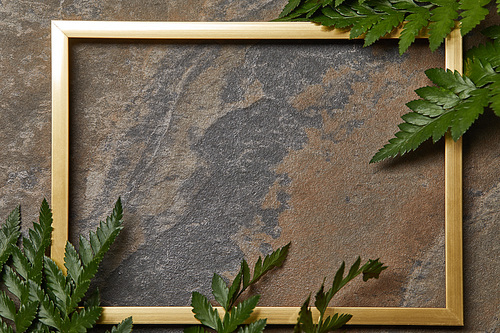 empty golden frame on stone background with copy space and fern leaves