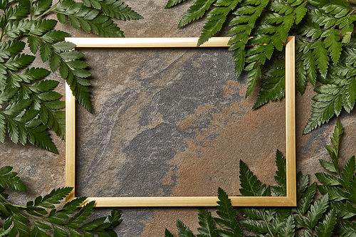 empty golden frame on stone background with copy space and green fern leaves