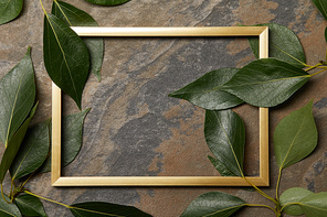 empty golden frame on stone background with copy space and green leaves