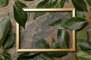 top view of empty golden frame on stone background with copy space and green leaves