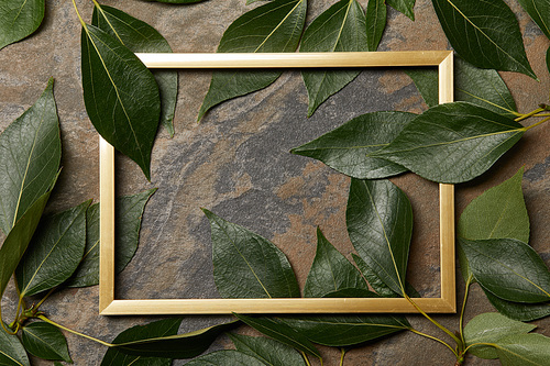 top view of empty golden frame on stone background with copy space and green leaves