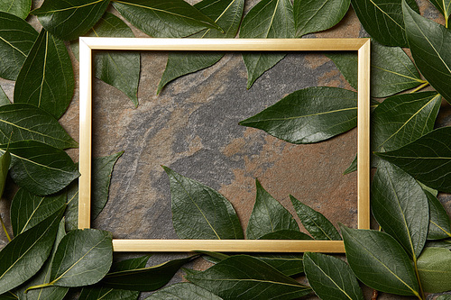 top view of golden frame on stone background with copy space and green leaves