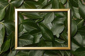 top view of golden frame on green leaves background with copy space