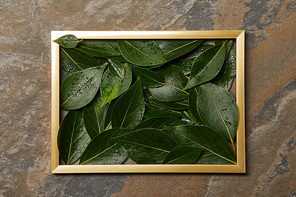 golden frame with green wet leaves on stone background