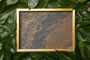 empty golden frame on stone background with copy space and wet green leaves