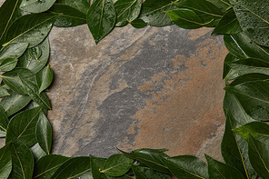 top view of green wet leaves frame on stone background with copy space