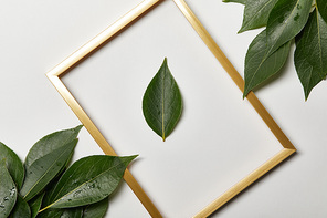 empty golden frame with leaf isolated on white