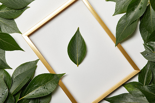 empty golden frame on white background with copy space and green leaves